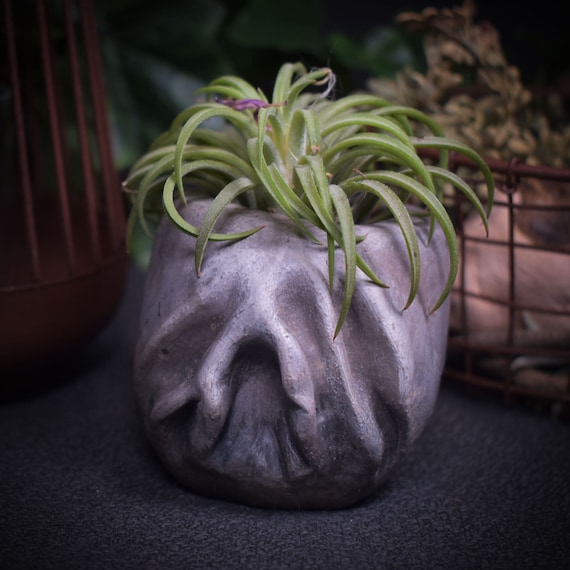 Yoni planter unique piece made of traditionally fired clay - Handmade smoke-fired art - Ode to femininity