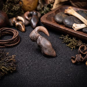 May include: A dark brown, curved ear gauge with a smooth, polished finish and a tapered, horn-like shape. The piece features a textured, rounded top section that transitions into a sleek, pointed end, showcasing natural-looking wood grain patterns.