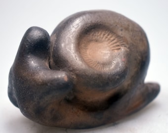 Sculpture ammonite snail primitive art