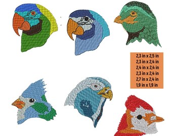 Colorful Parrot Embroidery Patterns - Machine Embroidery Files
