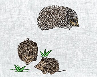Hedgehog Pattern -  Machine Embroidery File design