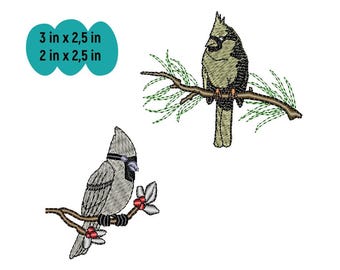 Crow Embroidery Design - Digital Download - Instant Access - DIY Bird Stitching Pattern