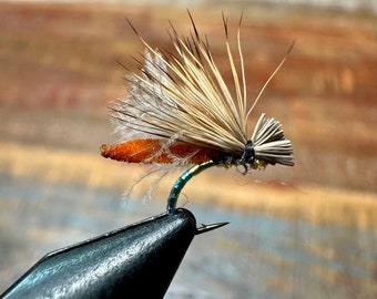 May include: A close-up of a fly fishing lure with brown, white, and orange feathers. The lure is tied to a black fishing hook.