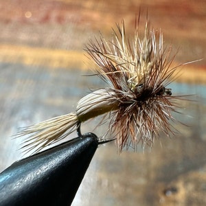 May include: A brown and white fly fishing lure with a white body and brown feathers.