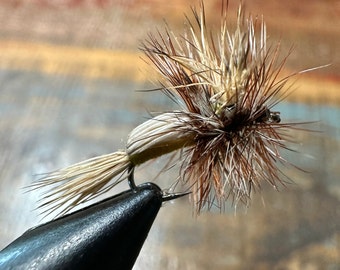 May include: A brown and white fly fishing lure with a white body and brown feathers.