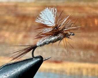 May include: A brown and white fly fishing lure with a white feather tail and a brown body.
