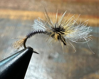 May include: A close-up of a fly fishing lure with white and brown feathers and a black body. The lure is attached to a black fishing hook.