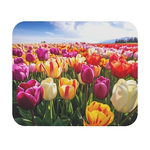 Può includere: Un campo di tulipani colorati in varie tonalità di rosa, viola, rosso, giallo e bianco. I tulipani sono in piena fioritura e il campo è bagnato dalla luce del sole.