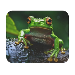 May include: A close-up of a green tree frog with orange eyes sitting on a dark, wet surface. The frog has a speckled pattern on its belly and is surrounded by water droplets.