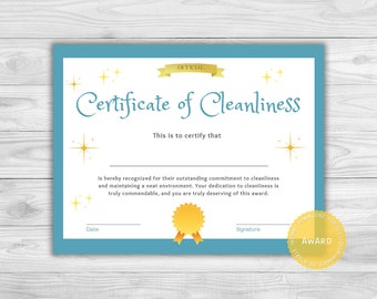 Clean Room Award, Cleanliness Certificate, Tidy Room Award, Kids Cleaning Award, Cleaning Certificate, Recognize Cleanliness, Printable PDF