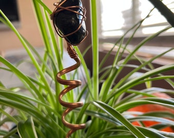 電気栽培植物の装飾