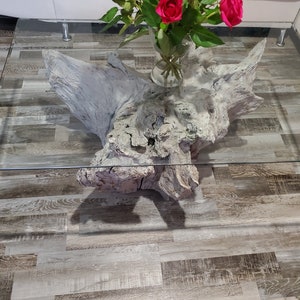 Oak root coffee table