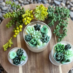 Vela de soja con aroma a suculentas / Variedad verde / Hecha a mano / Vela personalizada / Aroma intenso