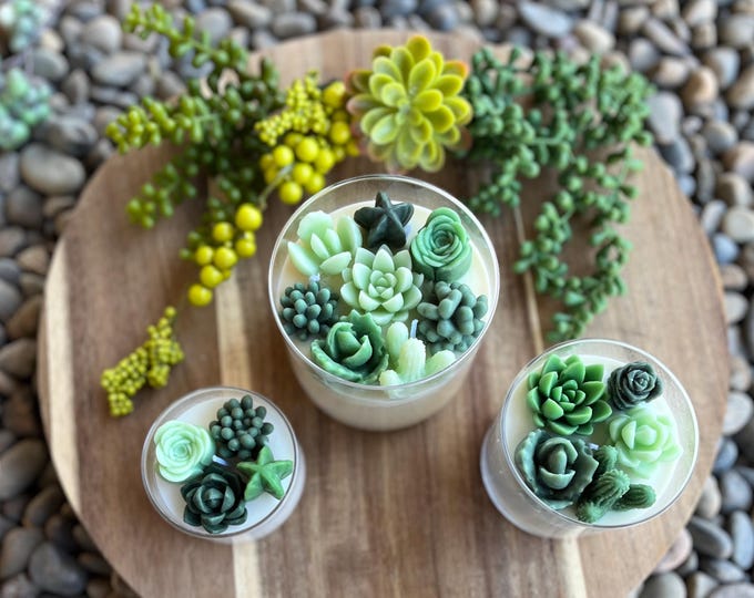 Succulent Soy Candle | Green Variety | Handmade | Custom Candle | Strong Scent