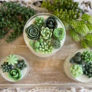 Green Variety Succulent Candle | Glass Tumbler Collection | Custom Scented Candle | Hand-poured with All-Natural Soy and Coconut Wax