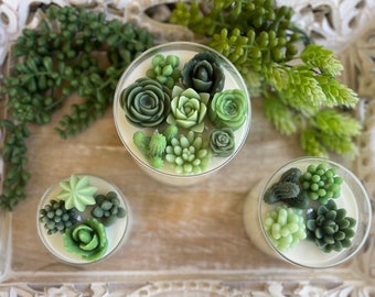 Green Variety Succulent Candle | Glass Tumbler Collection | Custom Scented Candle | Hand-poured with All-Natural Soy and Coconut Wax