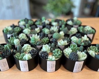 May include: A collection of small, black containers filled with succulent-shaped candles. The candles are various shades of green and gray, resembling a miniature succulent garden. Each container has a label that reads "White Jasmine".