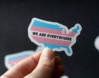 Mini We Are Everywhere Trans Flag USA America Sticker Waterproof Dishwasher safe