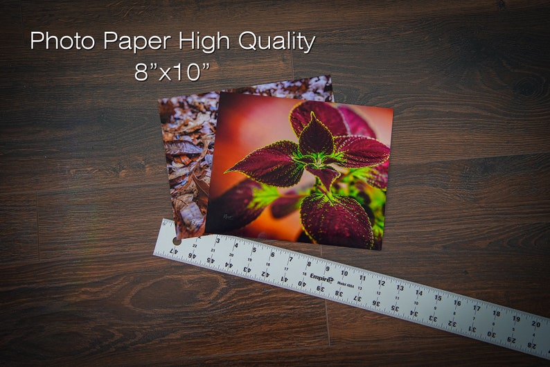 Oil Painting Style 115 Print on Canvas Etsy