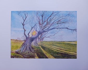 Dartmoor Landscape Watercolour Print - Row of Beech