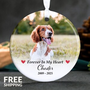 May include: A round, white Christmas ornament featuring a photo of a dog with brown and white fur. The text "Forever In My Heart Chester 2009-2025" is printed below the photo, with red heart graphics.