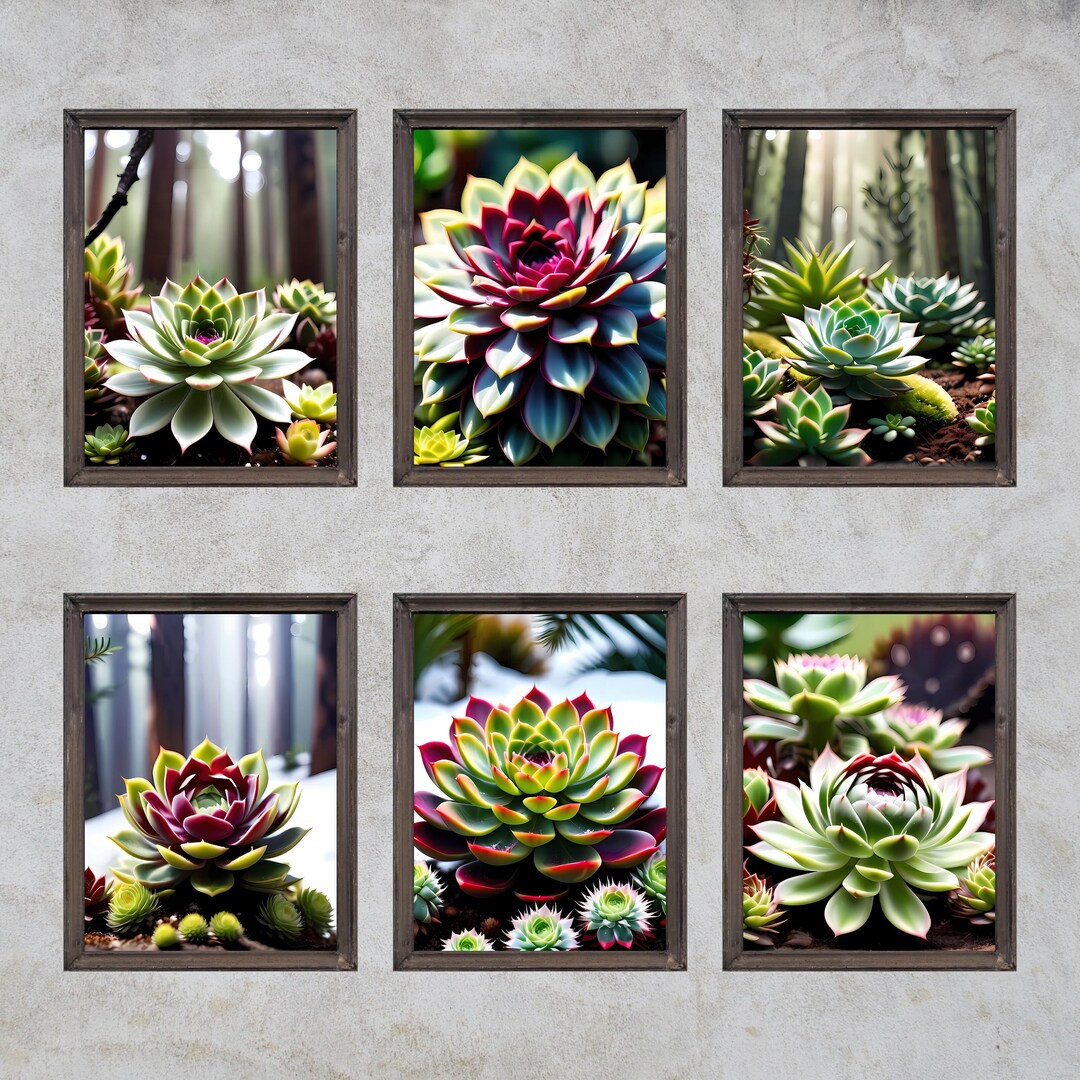 Sempervivum Succulent Wall Art Print Set, Exotic Tropical Decor ...