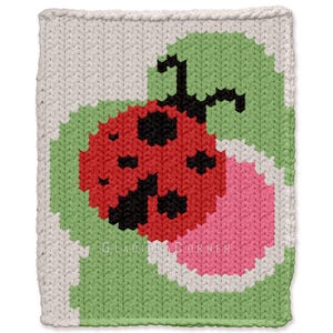 Patrón de tejido de mariquita para tejer a mano - Manta gruesa tejida a mano - Motivo de color - Archivo PDF