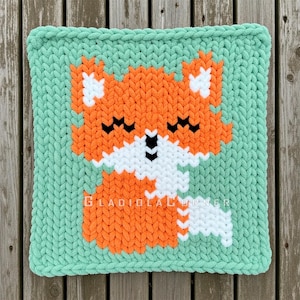 May include: A square, handmade, knitted pillow featuring a fox design. The fox is orange, white, and black, set against a mint green background. The text "GLADIOLACORNER" is visible at the bottom. The pillow is made of a chunky knit yarn.