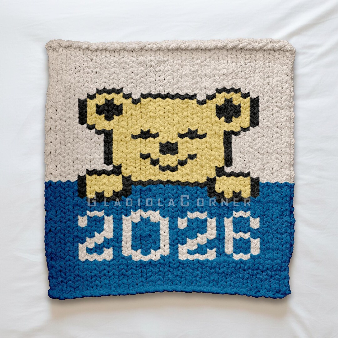Born in 2026 Finger Knitting Pattern - Cute Teddy Bear Chunky Blanket - Colorwork Motif - PDF ...