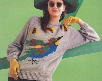 Knit funny sweater PDF KNITTING PATTERN intarsia european bee-eater bird women raglan pullover 8 ply wool double dk yarn jumper easy to knit