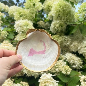 Pink cape cod scallop shell ring dish