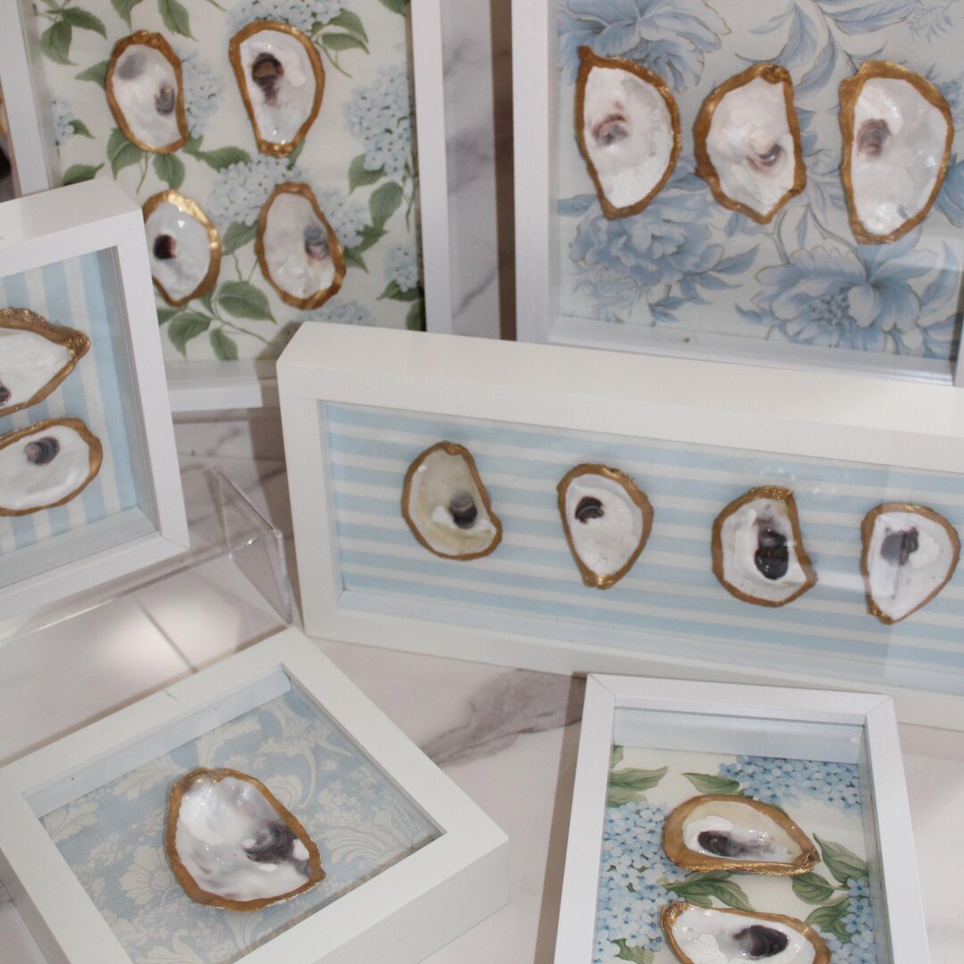 Oyster Shell Shadow Box- Different Size Options Listed - Etsy