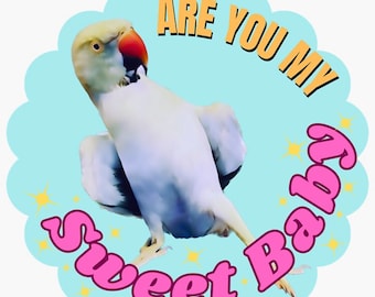 Are You My Sweet Baby? Sticker