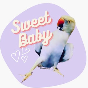 Süßer Baby Sticker