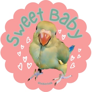 Patito/Baybell