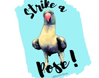 Pose! Aufkleber