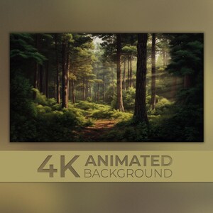 Könnte beinhalten: Ein digitaler Kunstdruck einer sonnenbeschienenen Waldszene. Hohe Bäume mit dunkelbraunen Stämmen und grünem Laub bilden einen Weg in die Ferne. Der Text "4K ANIMATED BACKGROUND" ist unten in Gold dargestellt.
