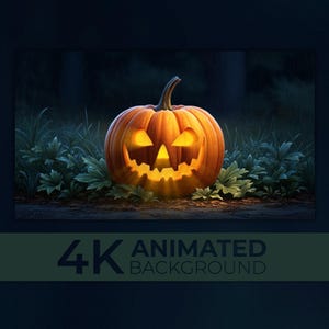 May include: A glowing orange jack-o'-lantern with carved eyes and a mouth sits in front of dark foliage. The pumpkin is lit from within, casting a warm glow. The text "4K ANIMATED BACKGROUND" is at the bottom.