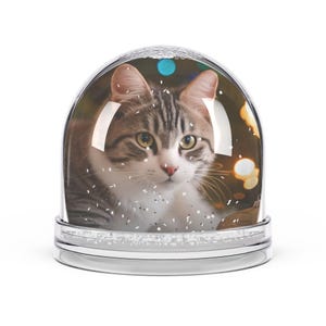 Bola de nieve personalizada, bola de nieve acrílica con foto personalizada, decoración mágica de recuerdo, regalo único para el Día de la Madre, bola de nieve de mascota, regalo imagen 4