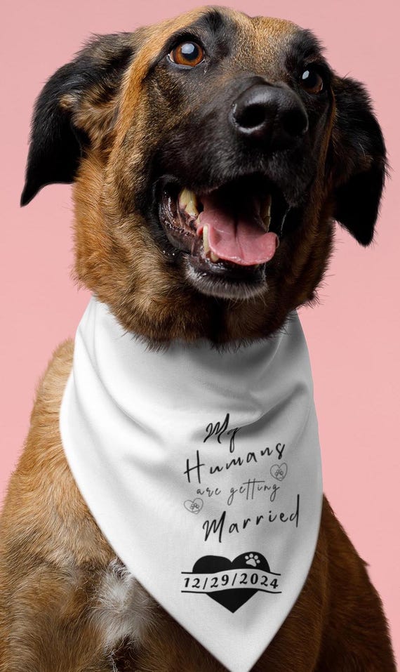 Customizable White & Black 'My Humans Are Getting Married' Pet Bandana - Wedding Announcement Photo Prop for Pet Parents | Dog Neckwear