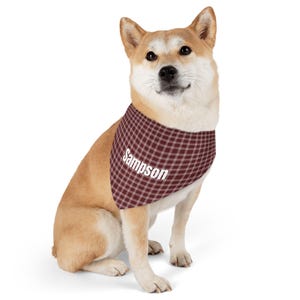 Herfstmode hond of kat: aanpasbare naam rood-witte geruite bandana-halsband voor huisdieren