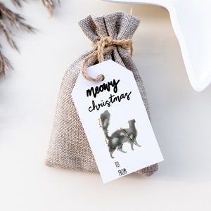 Printable Christmas Gift Tags With Cute Snow Globe | Labels for Party Favors