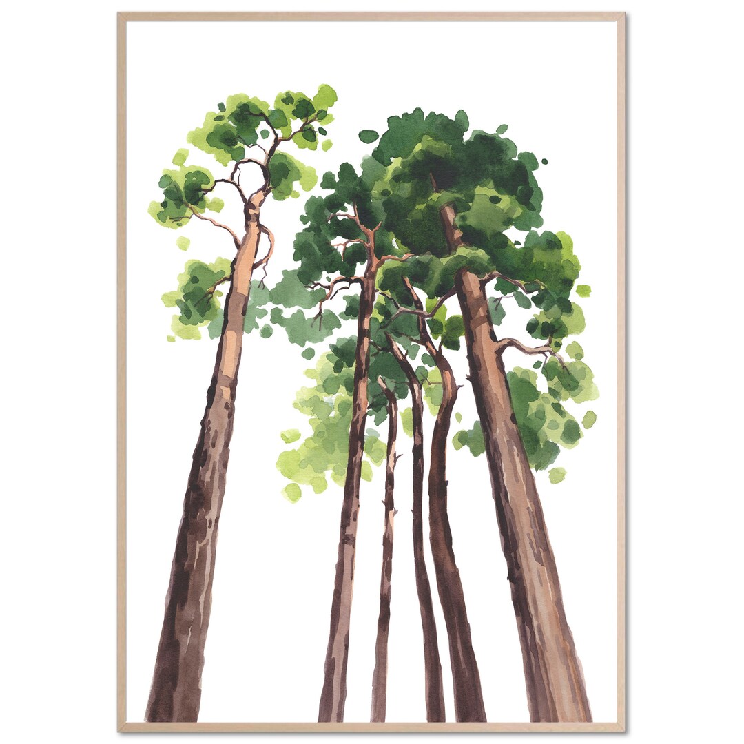 Pine Trees Art Print Spruce Trees Watercolor Painting Minimalist ...
