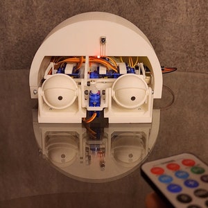 Remote Controlled Animatronic Eyes