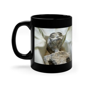 Mexican Aliens Coffee Mug Mexico alien bodies Coffee Tea Mug Gifts UFO Mug Alien mug 11oz