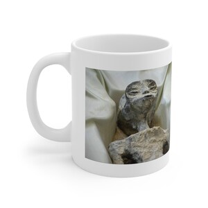 Mexican Aliens Coffee Mug mexico alien bodies Coffee Tea Mug Gifts UFO Mug Alien mug 11oz