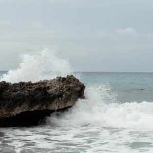 Ocean Spray