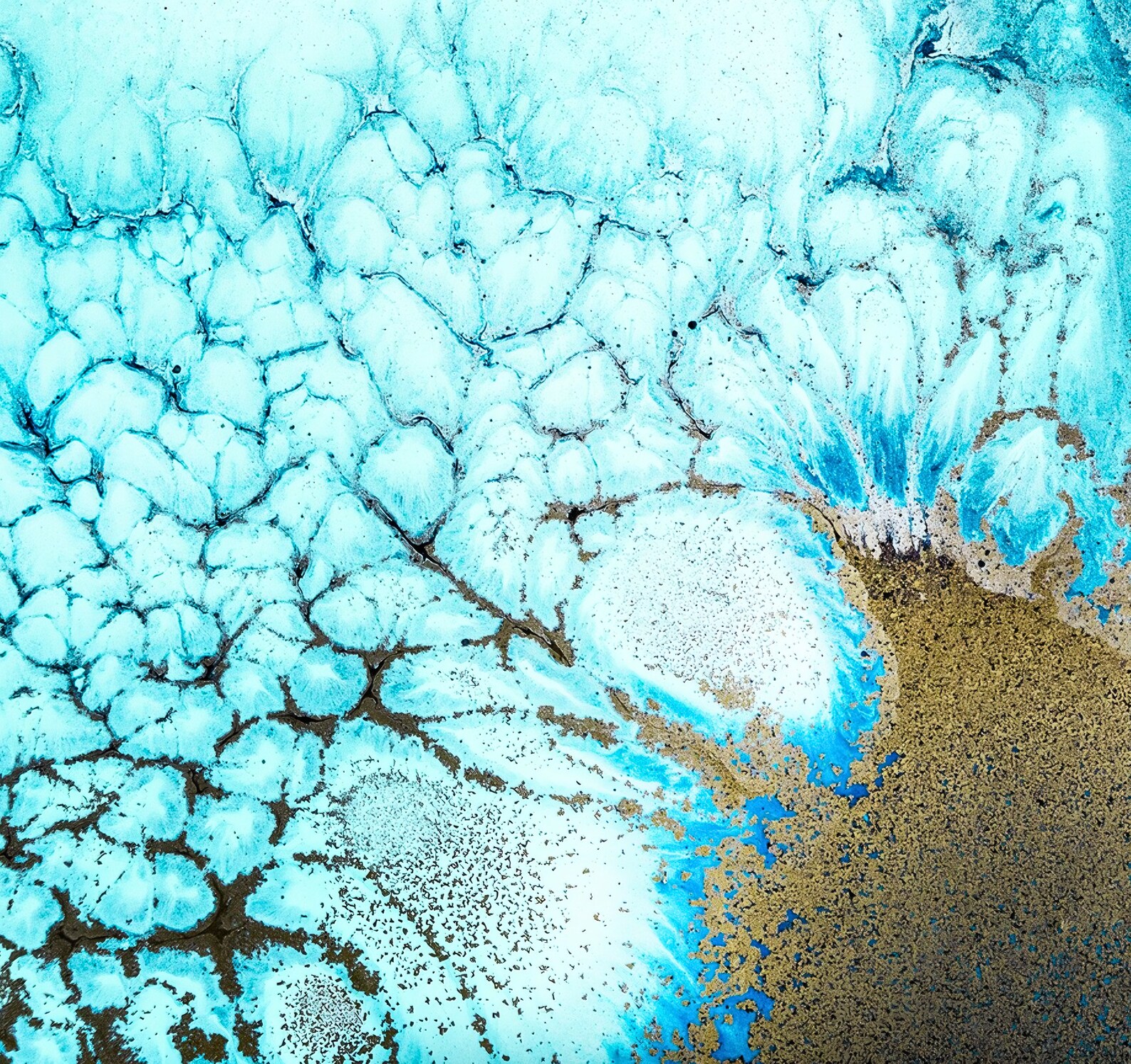 Large Turquoise Art, Coral Reef Canvas Print ~ Unique Nautical Giclee ...