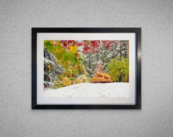 Nittany Lion Shrine and the Fall Snow Framed Print by Tom Mairs Photography | Penn State Graduation Gift | PSU Wall Art
