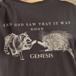 Chemise raton laveur, Porc-épic, Vêtements gobelincore, La foi au-dessus de la peur, Merchandising chrétien, Armure de dieu, Pas Satan aujourd'hui, Fruit de l'esprit